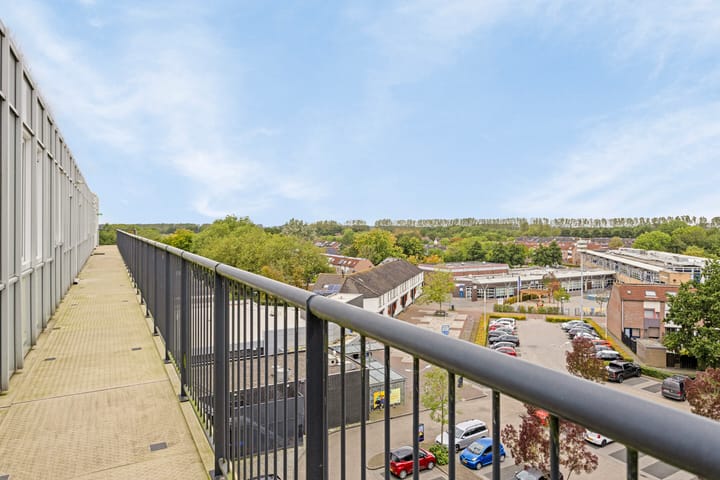 Foto 17 van De Spinne 113