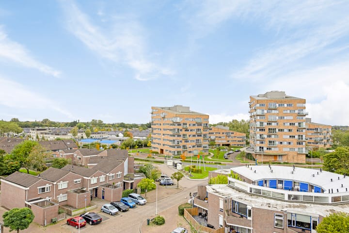 Foto 18 van De Spinne 113