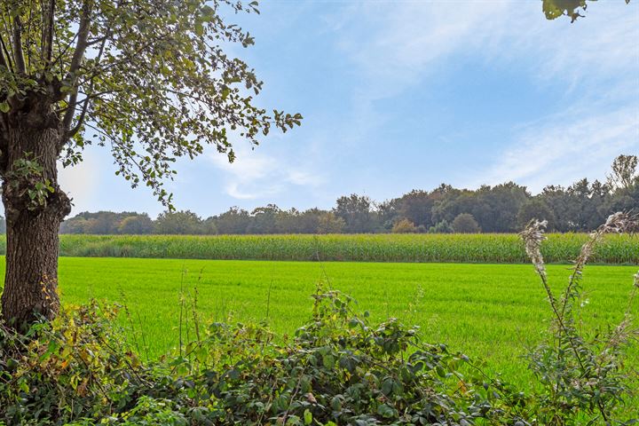 Bekijk foto 40 van Vogelwikke 19