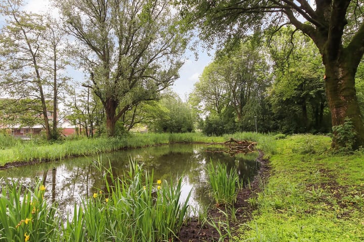 Foto 23 van Essenburg 71