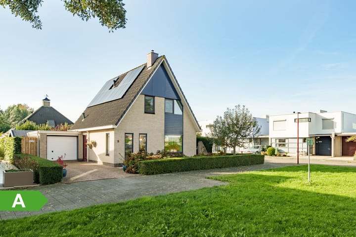 Foto 1 van Lodewijk van Deysselhove 9