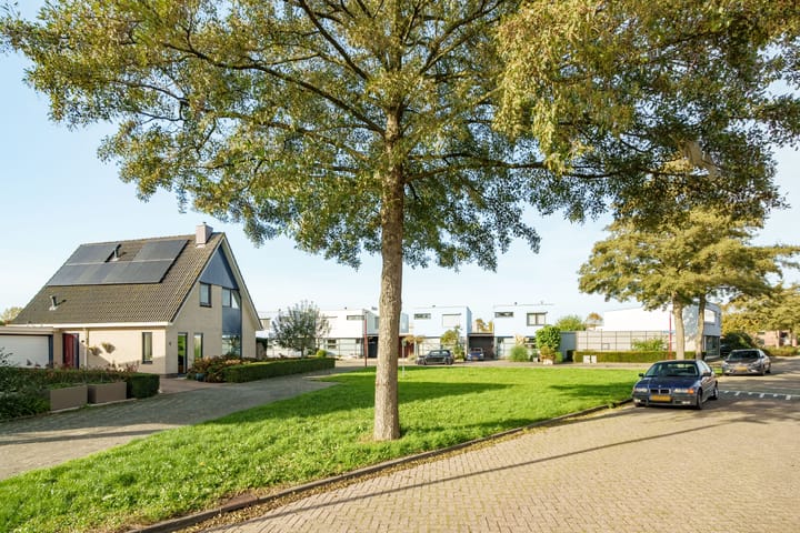 Foto 2 van Lodewijk van Deysselhove 9