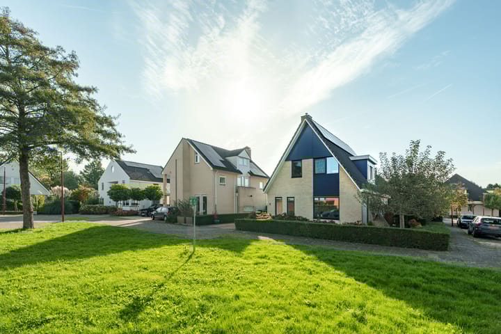 Foto 3 van Lodewijk van Deysselhove 9