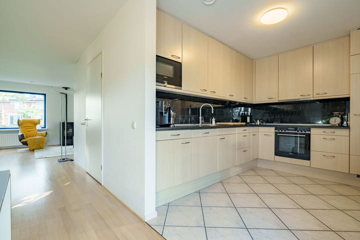 Foto 13 van Lodewijk van Deysselhove 9