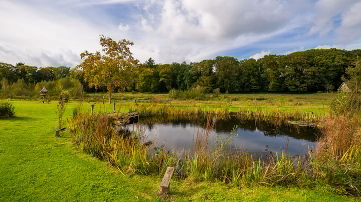 Foto 43 van Tusveld 19