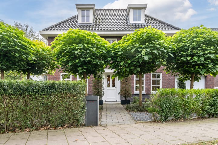 Foto 27 van Loostraat 123