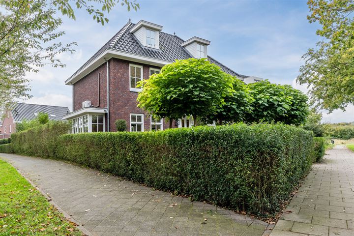 Bekijk foto 48 van Loostraat 123