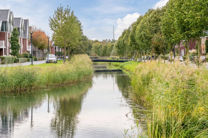 Foto 51 van Loostraat 123