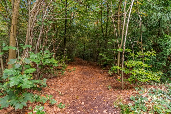 Foto 32 van Gramserweg 44