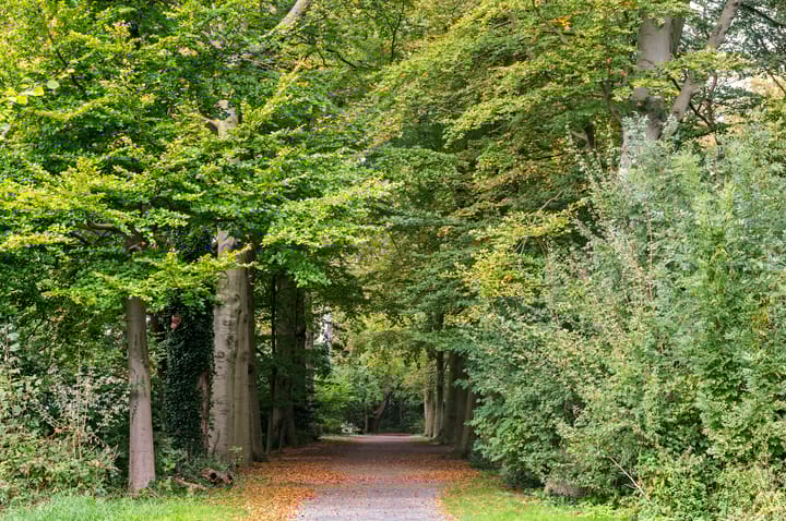 Foto 52 van Bachmanstraat 15