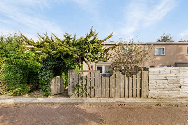 Foto 33 van Mandarijnenstraat 57