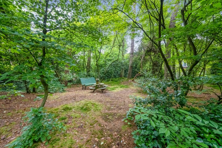 Foto 48 van Beetslaan 19