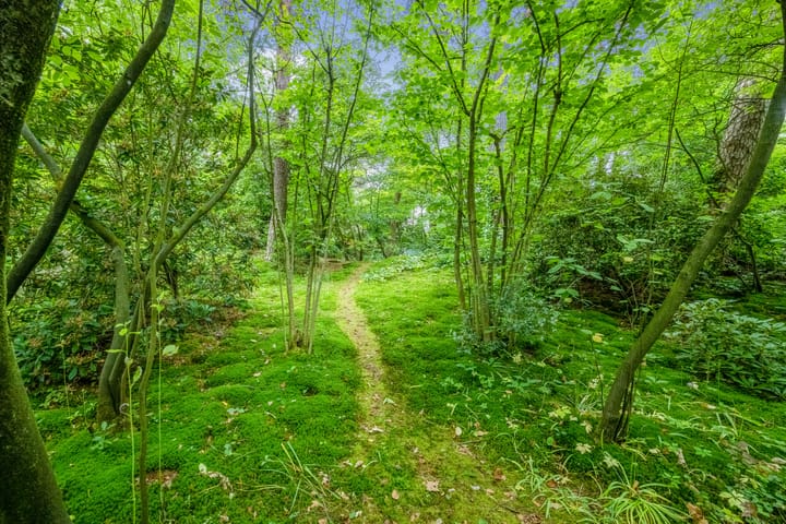 Foto 49 van Beetslaan 19