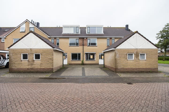 Foto 1 van Plevier 81