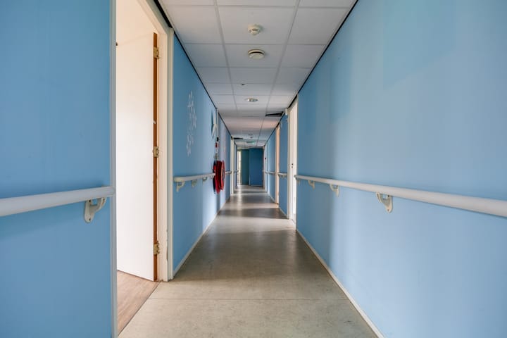 Foto 3 van Plevier 81