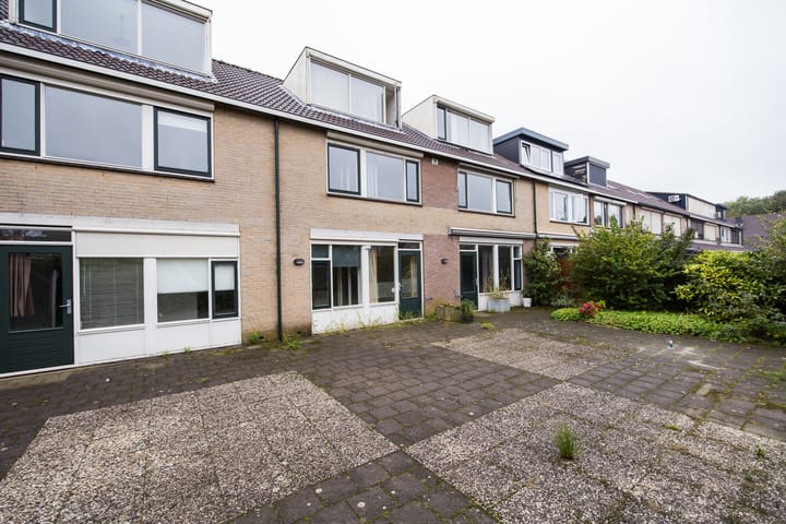 Foto 6 van Plevier 81