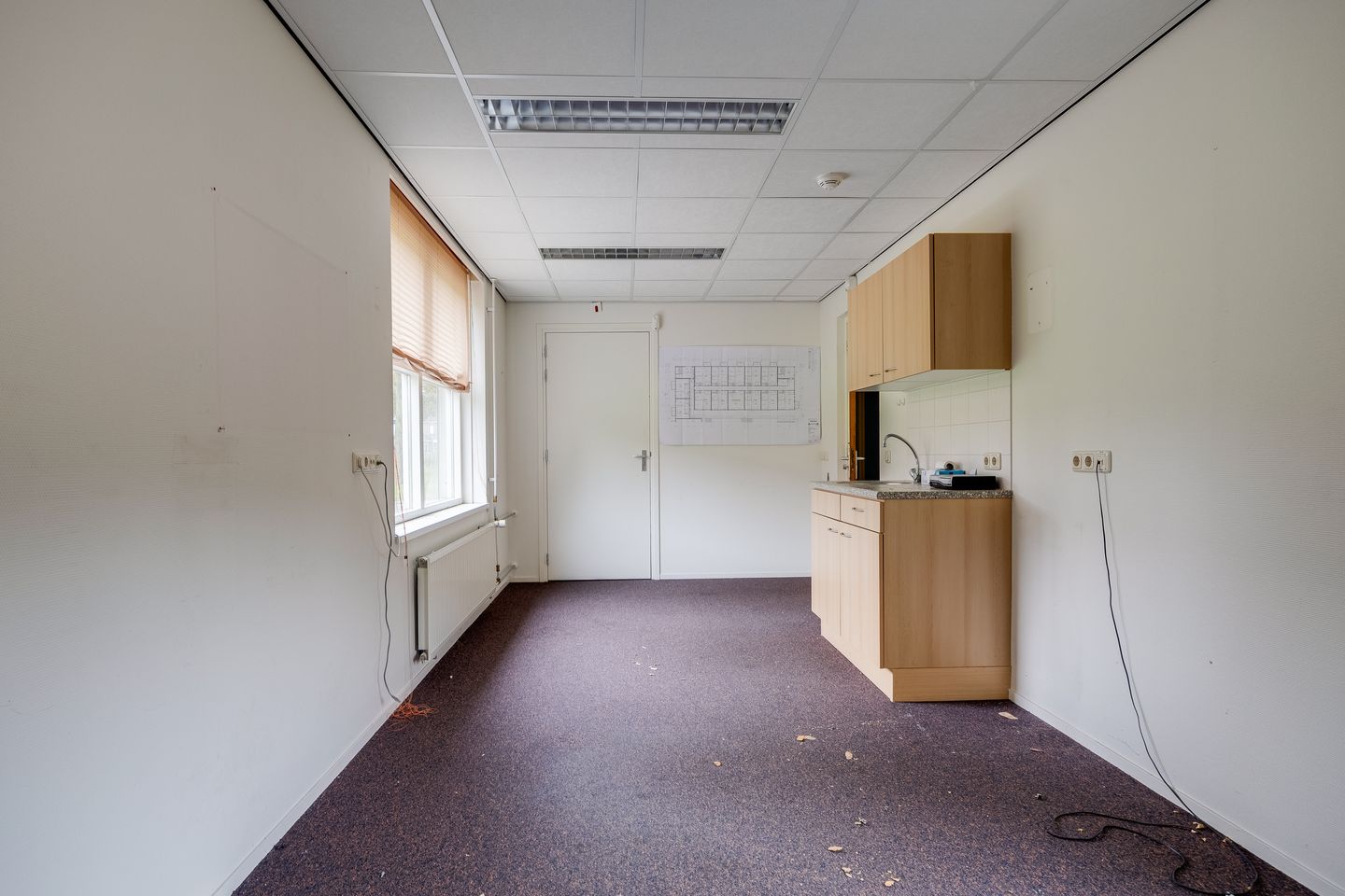 Foto 10 van Plevier 81