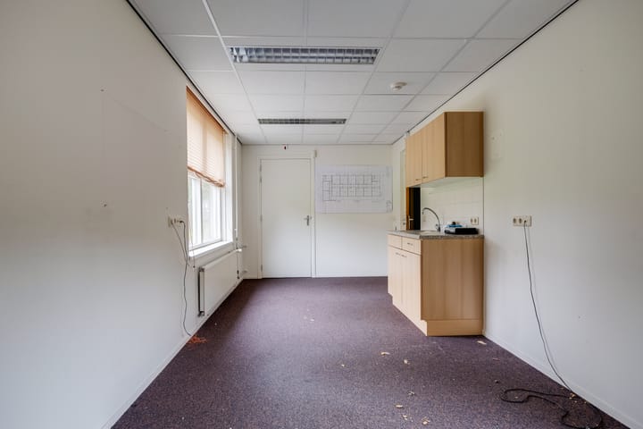 Foto 10 van Plevier 81