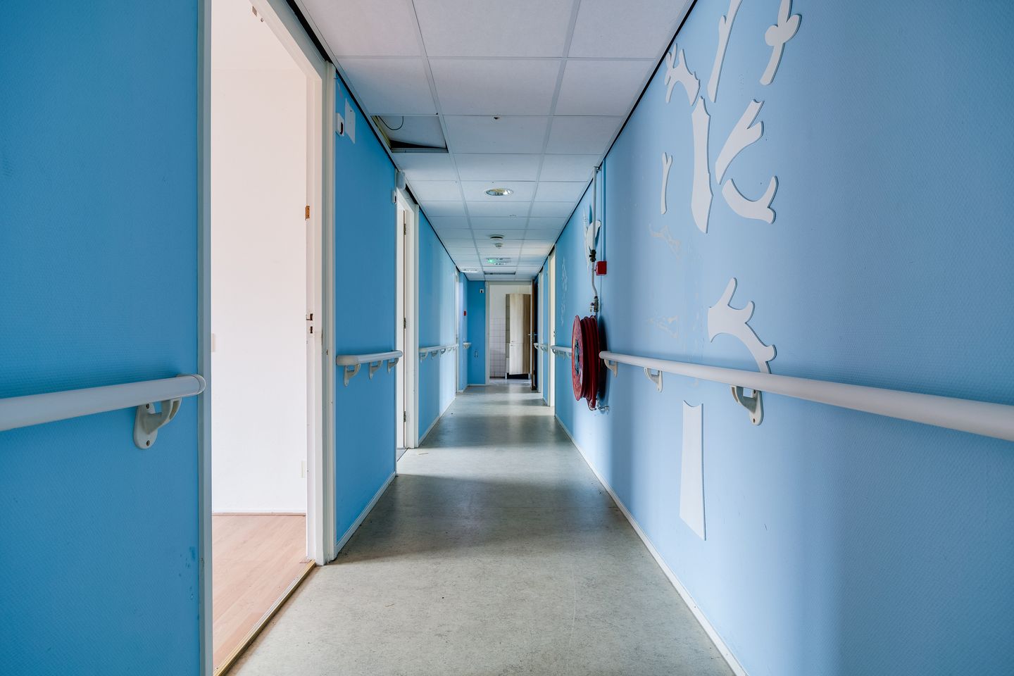 Foto 14 van Plevier 81