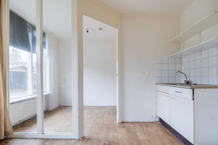 Foto 25 van Plevier 81