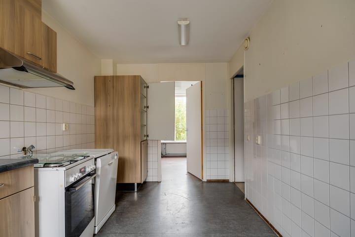 Foto 31 van Plevier 81