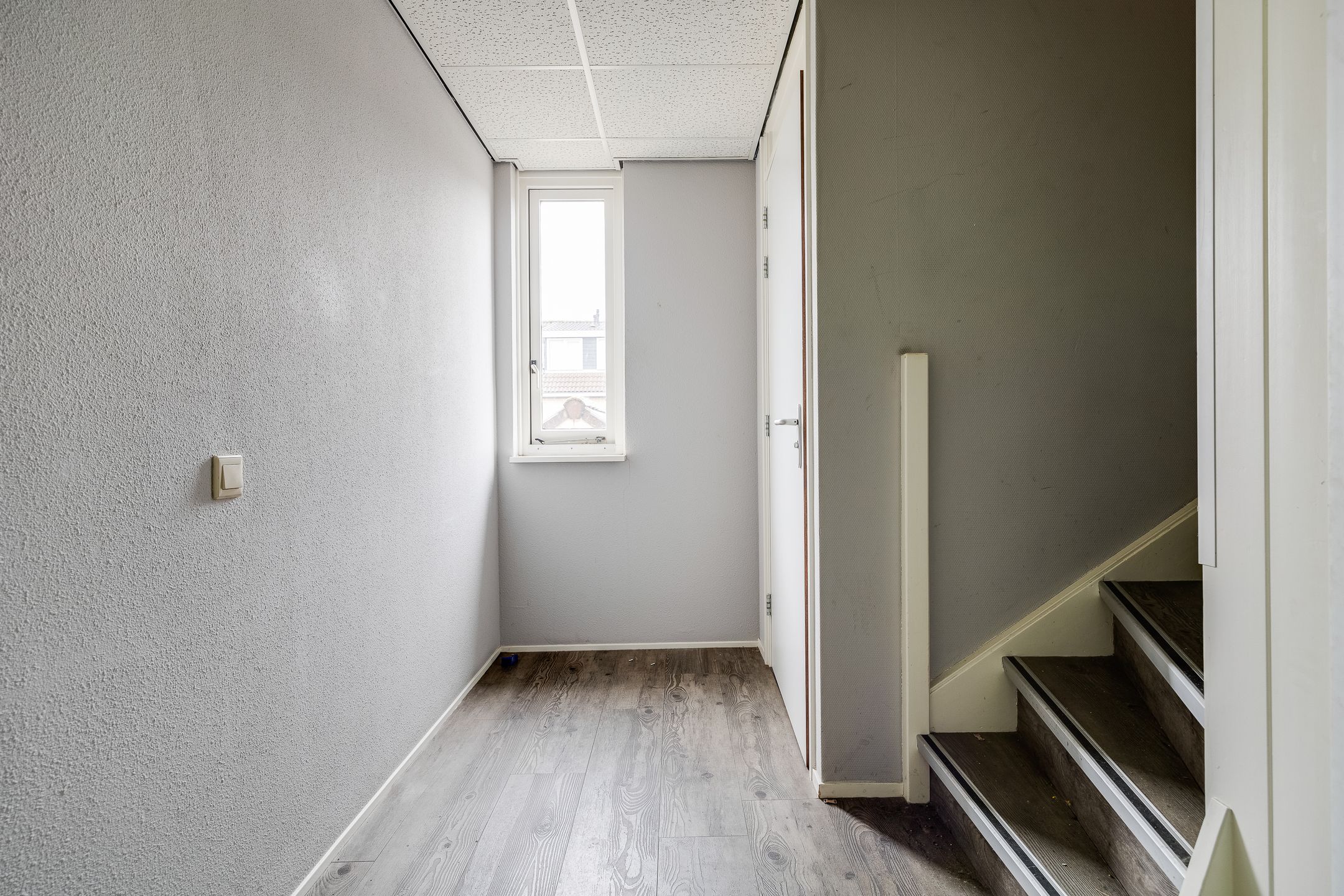 Foto 33 van Plevier 81