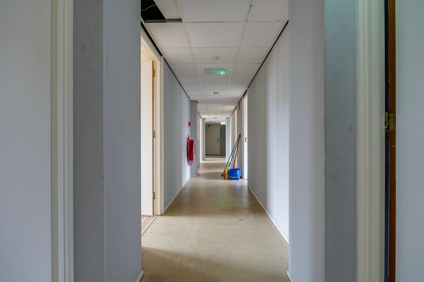 Foto 34 van Plevier 81