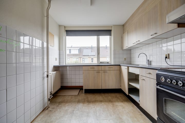 Foto 38 van Plevier 81