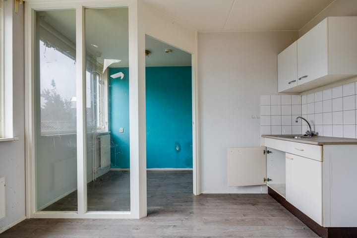 Foto 40 van Plevier 81