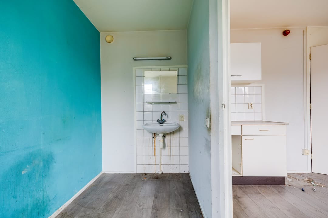 Foto 41 van Plevier 81