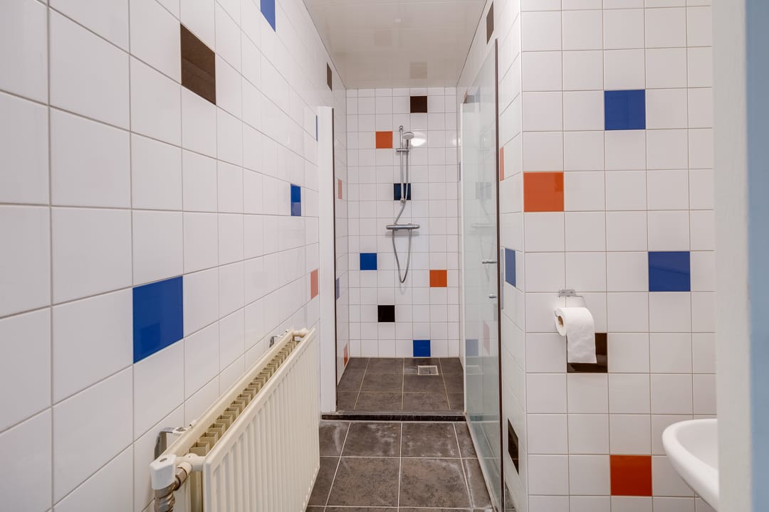 Foto 46 van Plevier 81