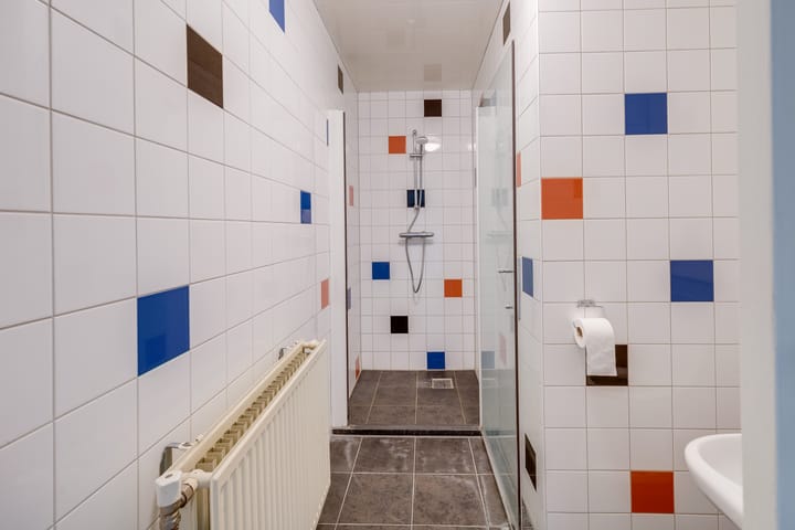 Foto 46 van Plevier 81