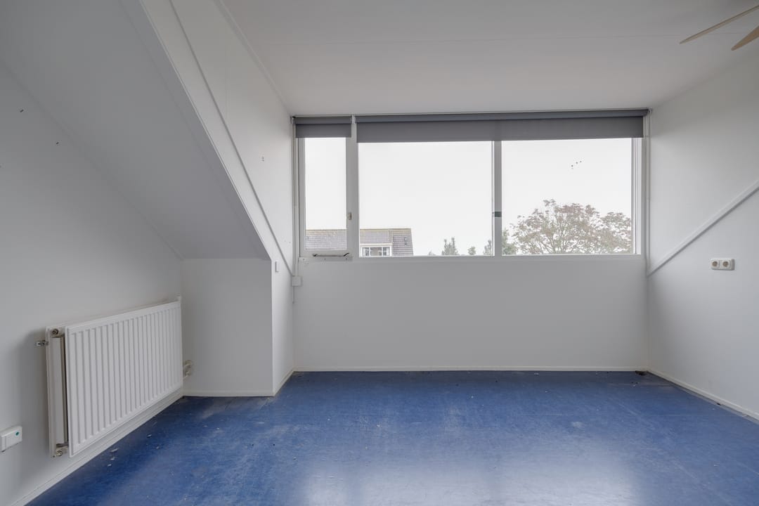 Foto 47 van Plevier 81