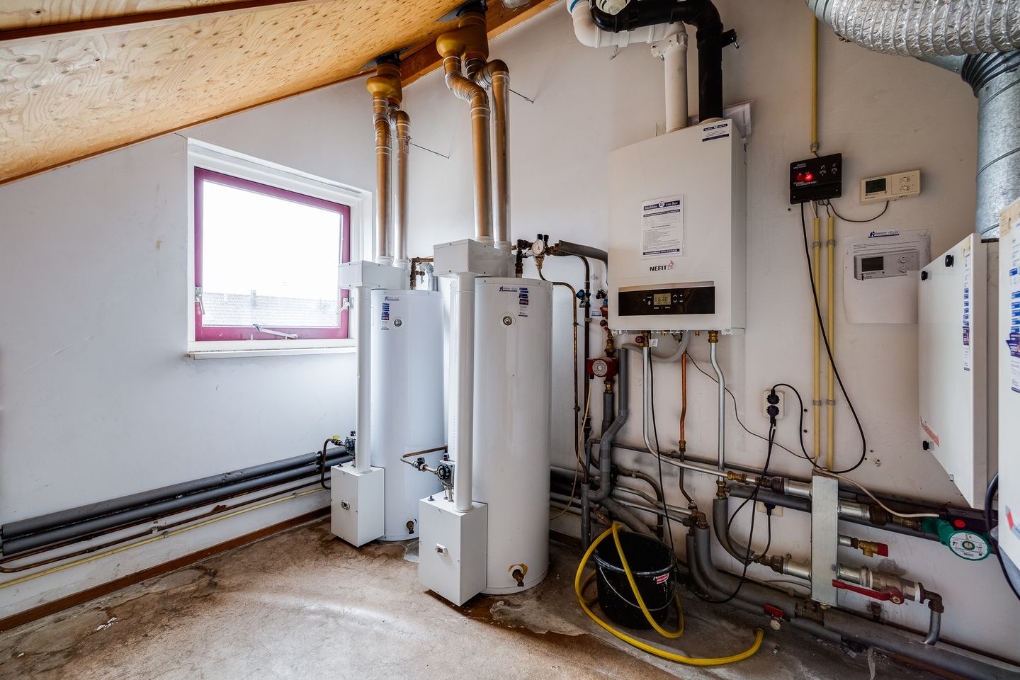 Foto 50 van Plevier 81