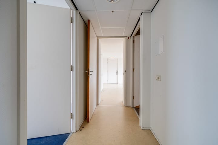 Foto 51 van Plevier 81