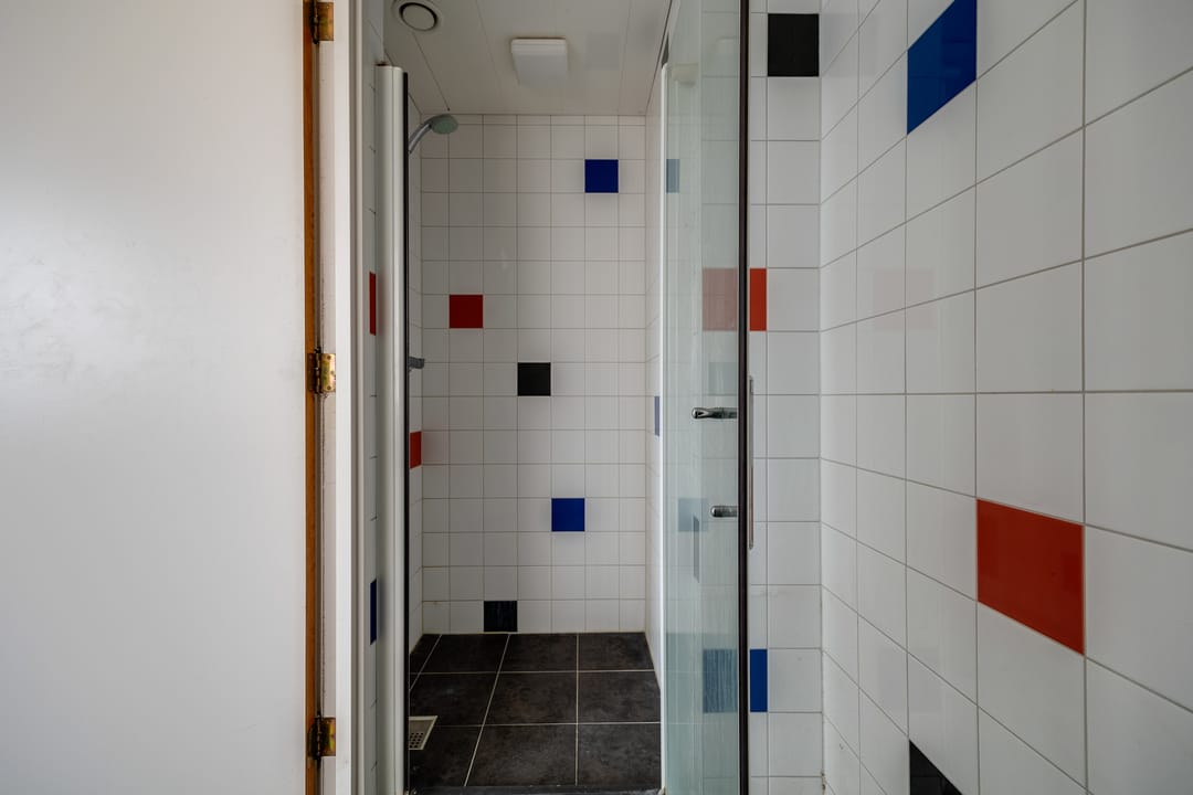 Foto 53 van Plevier 81