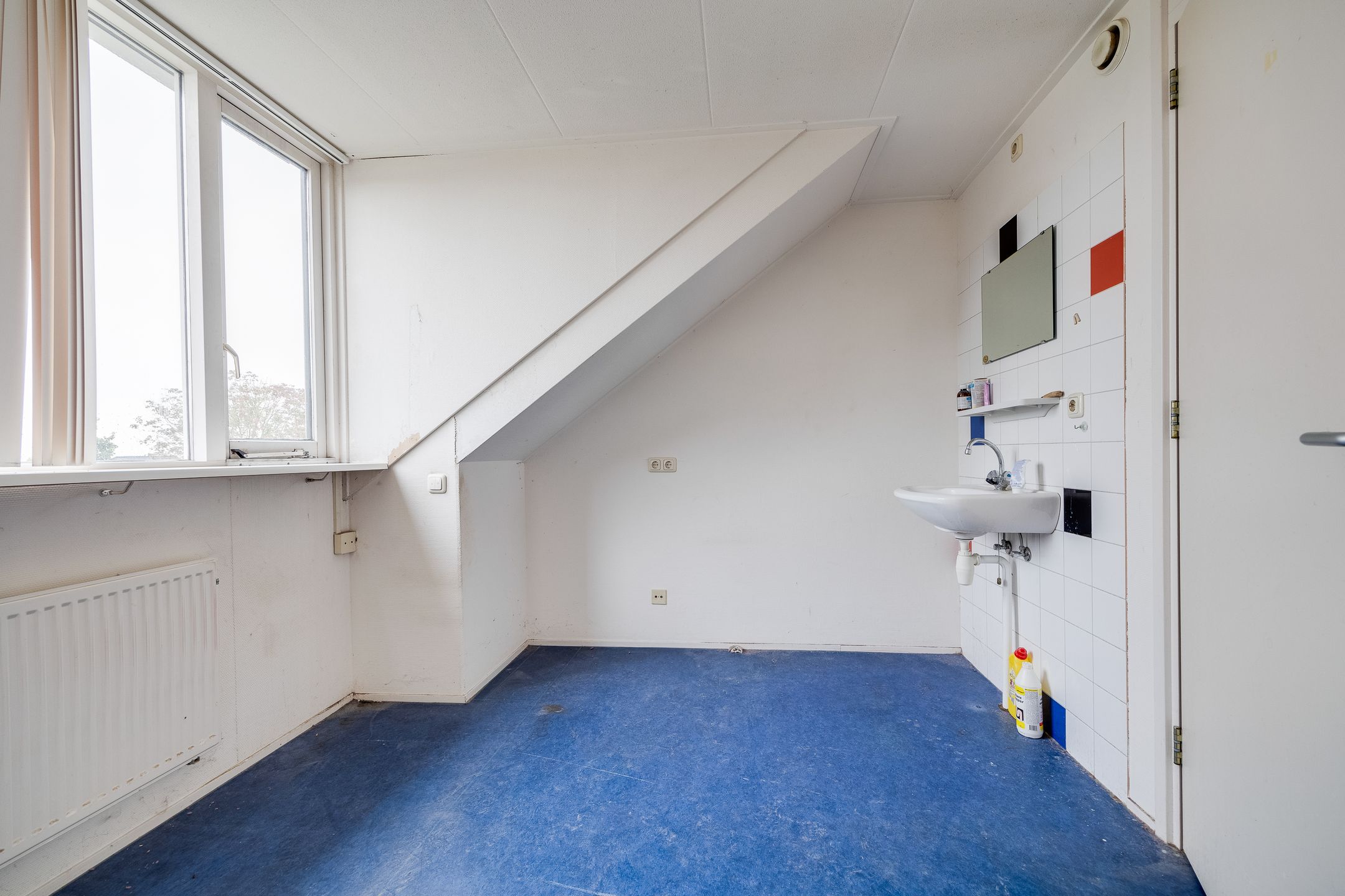 Foto 54 van Plevier 81