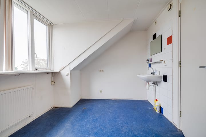 Foto 54 van Plevier 81