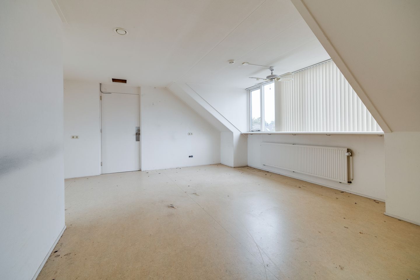 Foto 55 van Plevier 81