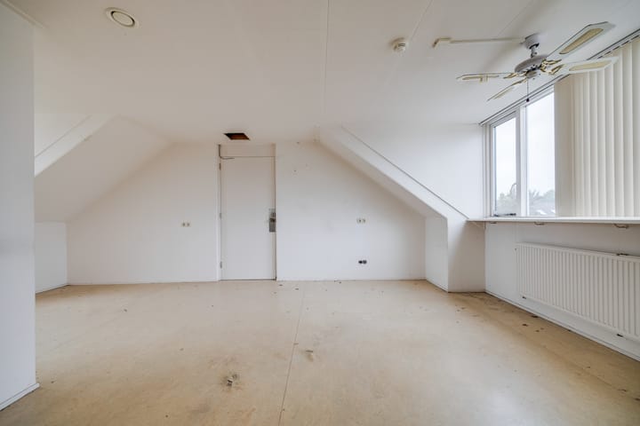 Foto 56 van Plevier 81