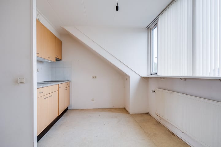 Foto 57 van Plevier 81