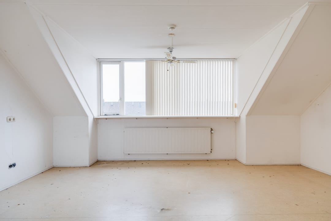 Foto 58 van Plevier 81