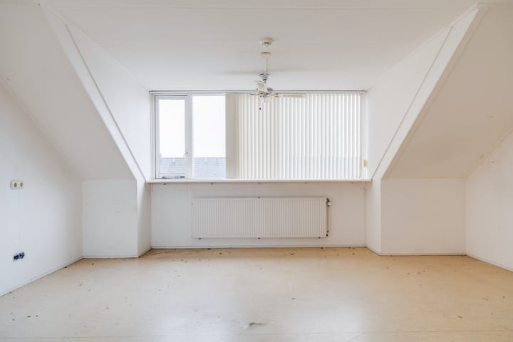 Foto 58 van Plevier 81