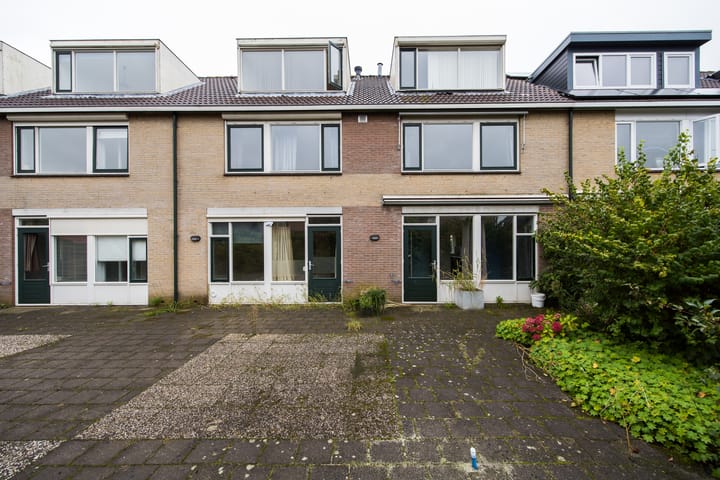 Foto 59 van Plevier 81