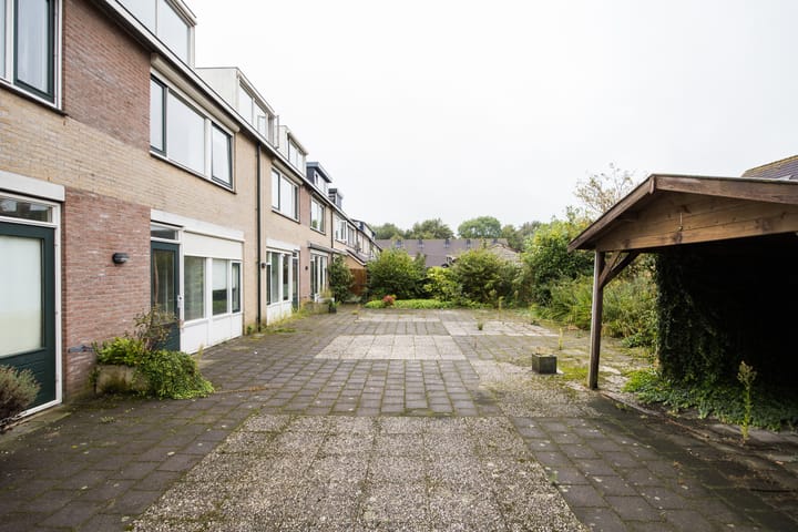 Foto 61 van Plevier 81