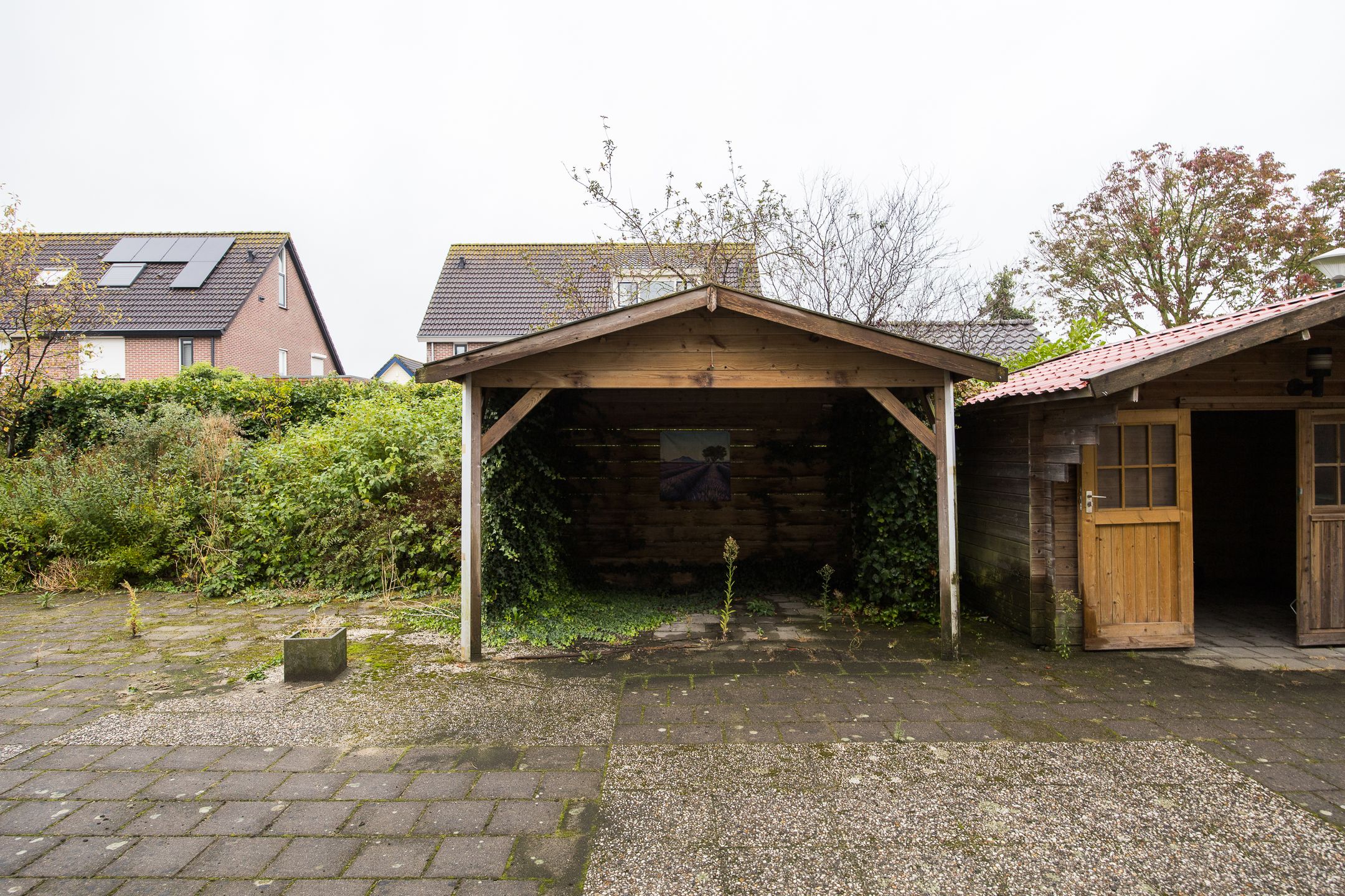 Foto 63 van Plevier 81