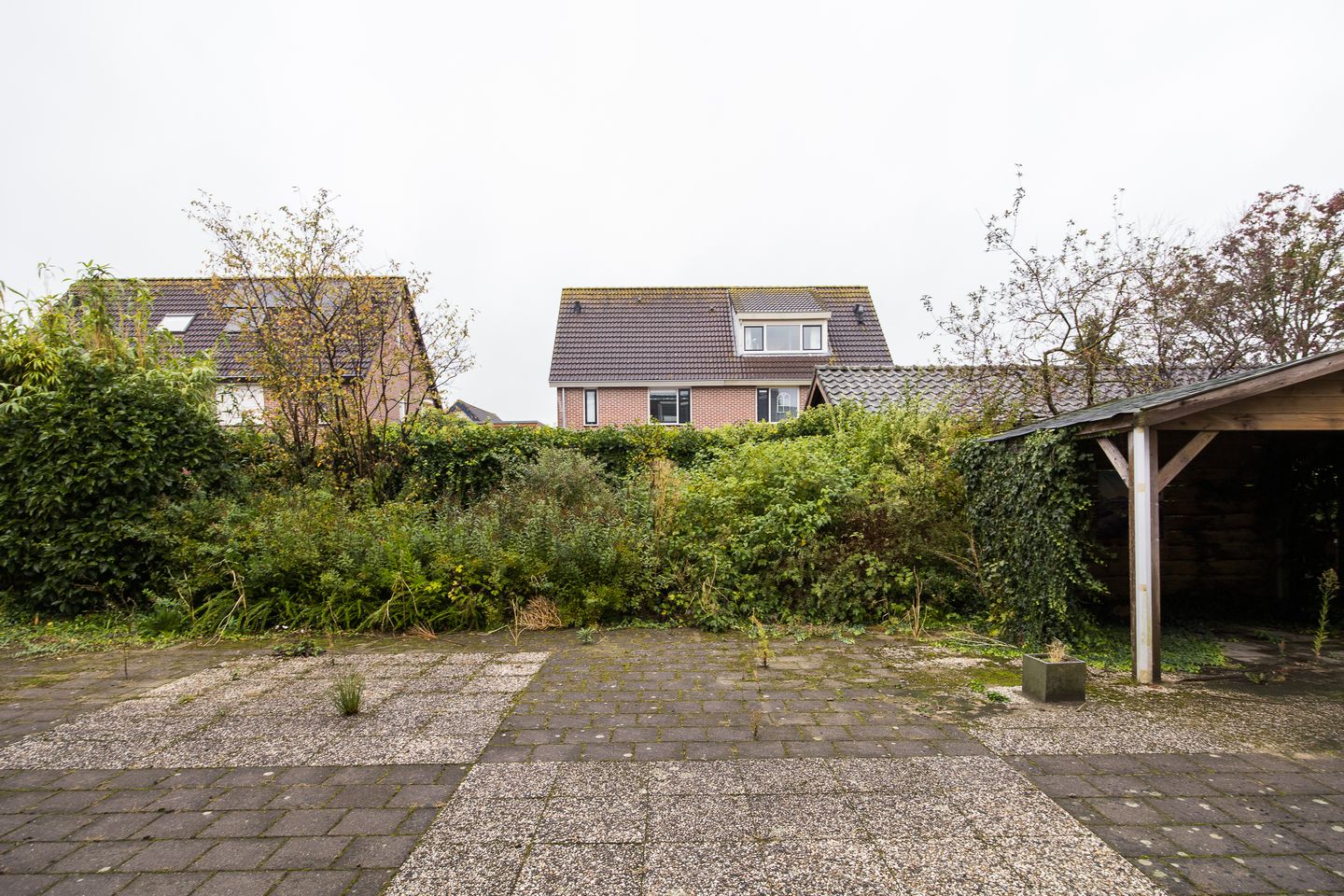 Foto 64 van Plevier 81