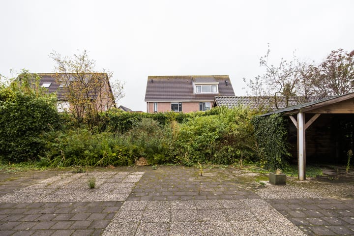 Foto 64 van Plevier 81