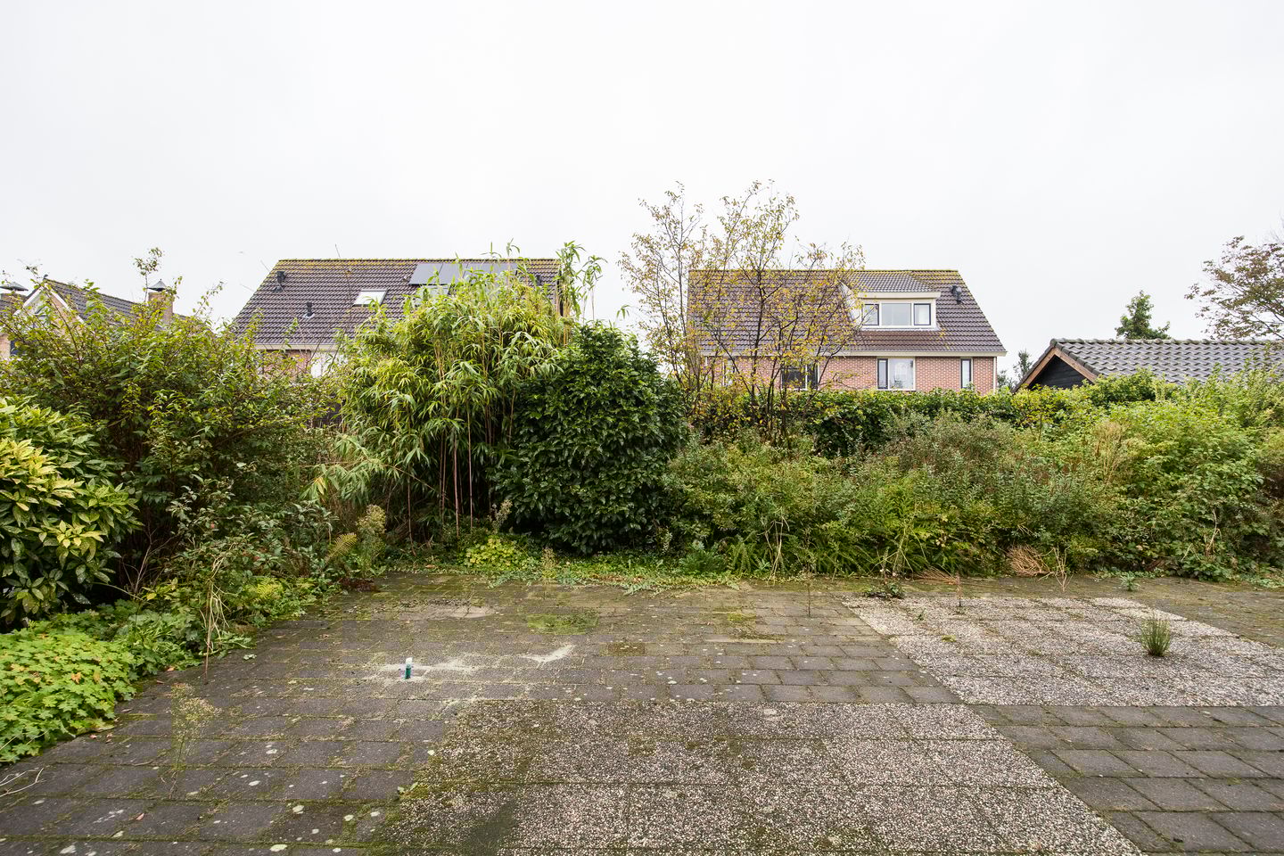 Foto 65 van Plevier 81