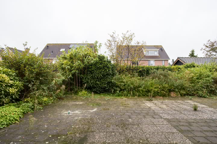 Foto 65 van Plevier 81